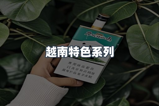越南特色系列